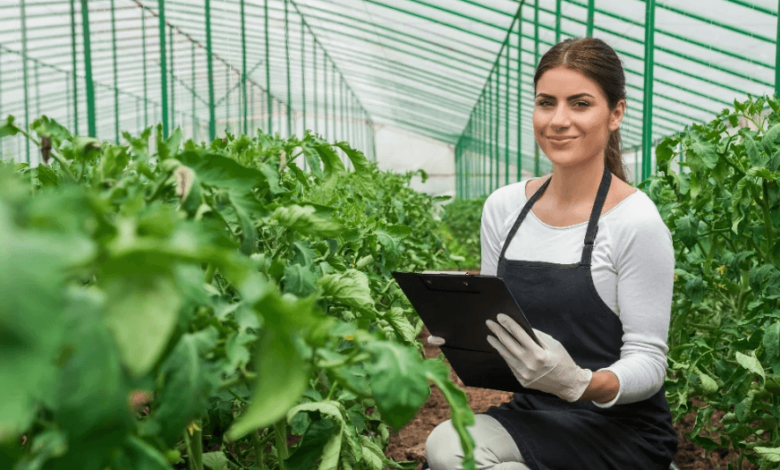 Agriculture Strategy Consulting for Sustainable Farm Growth and Innovation
