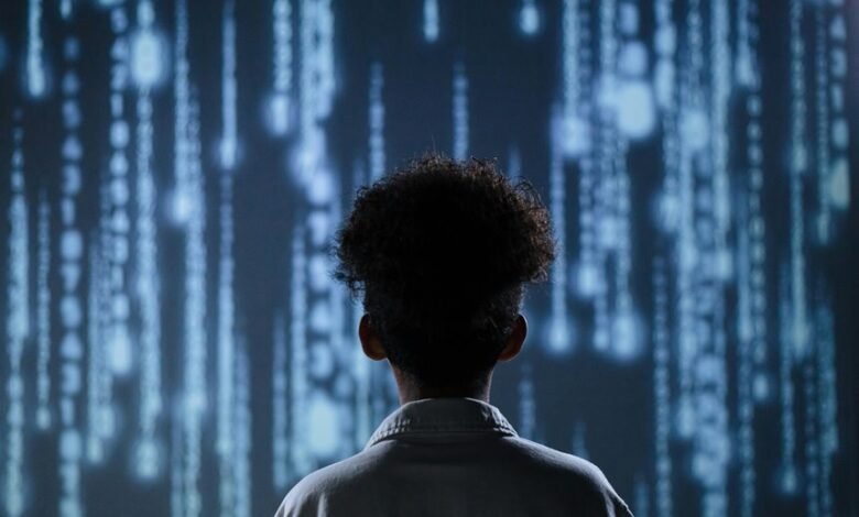 commercial data observation summary