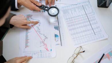 market analysis executive summary