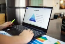 market insights and statistics