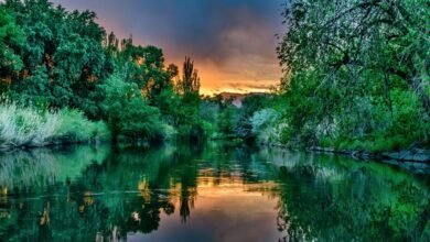 brand visibility assessment tool