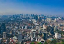 digital growth visibility hub