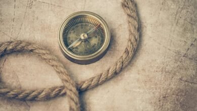 digital market expansion strategy