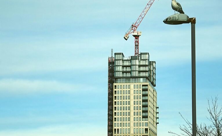 online growth expansion strategy