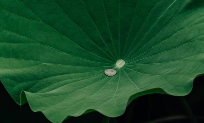 user retention engagement strategy